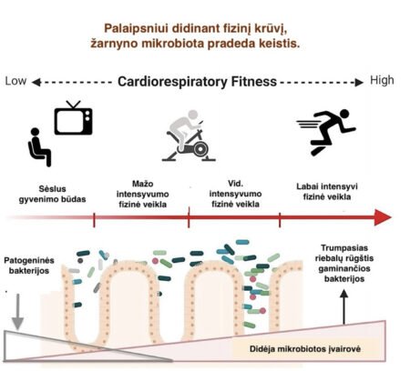 Ar tikrai mes patys visada kontroliuojame savo apetitą? Žarnyno bakterijų vaidmuo formuojant alkio pojūtį