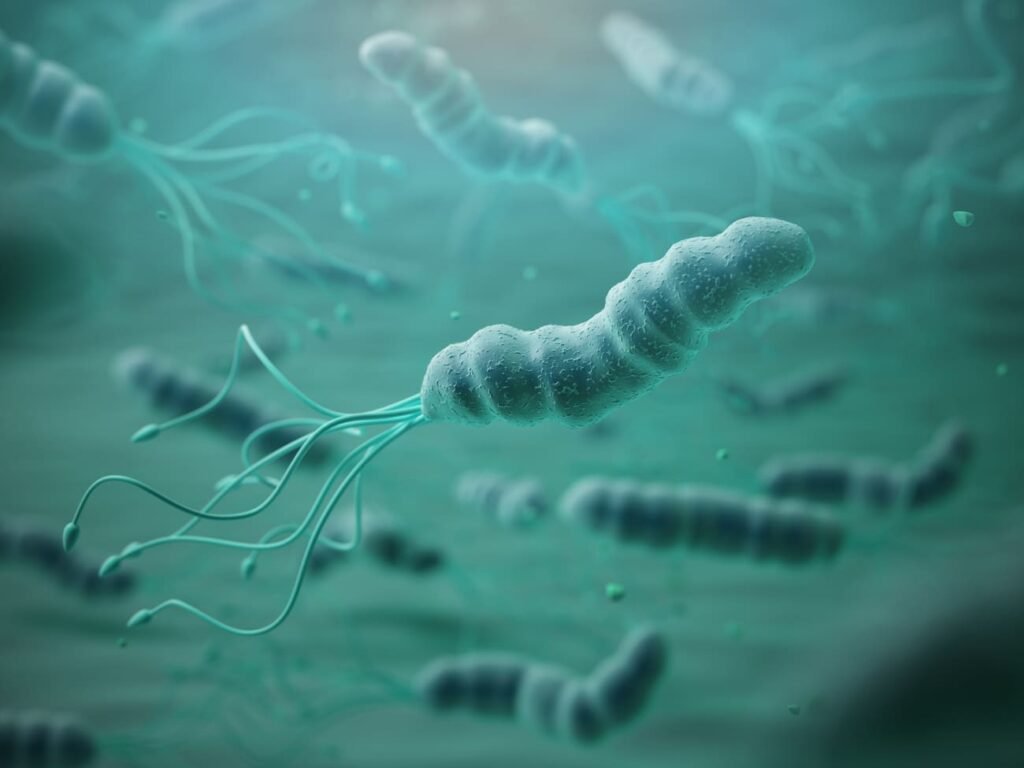 Helicobacter pylori: simptomai, tyrimai, gydymo schema ir prevencija