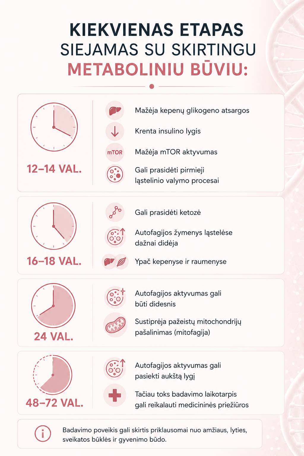 Autofagija: kas tai, kaip veikia ir kada prasideda ląstelių savęs valymas