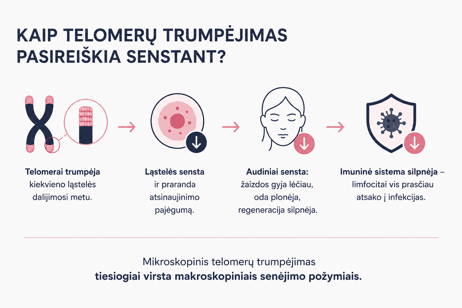 Telomerai: kas tai, kaip jie veikia senėjimą ir ką galima padaryti